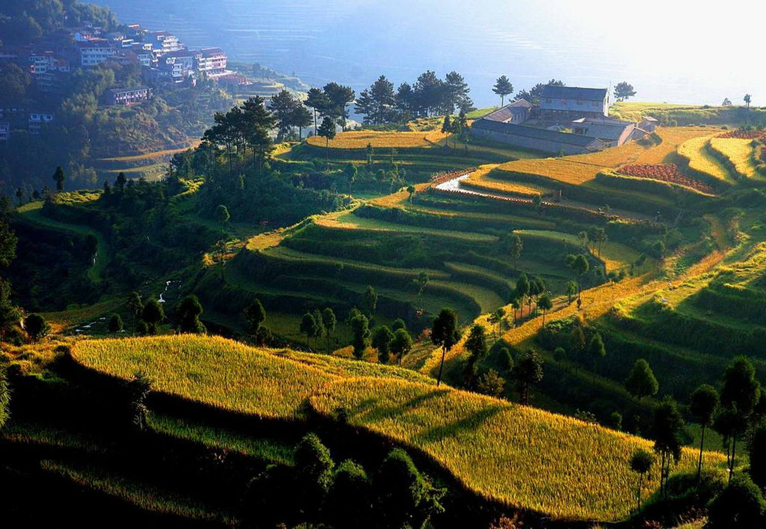 影儿美图 风光摄影 ◇日出茗岙