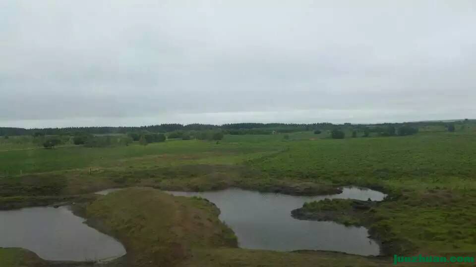 路上的风景4.jpg