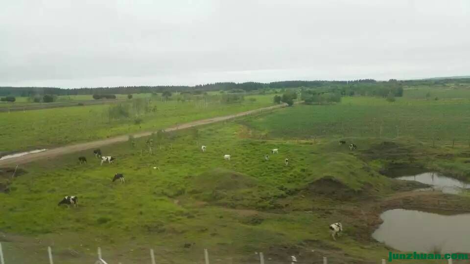 路上的风景7.jpg