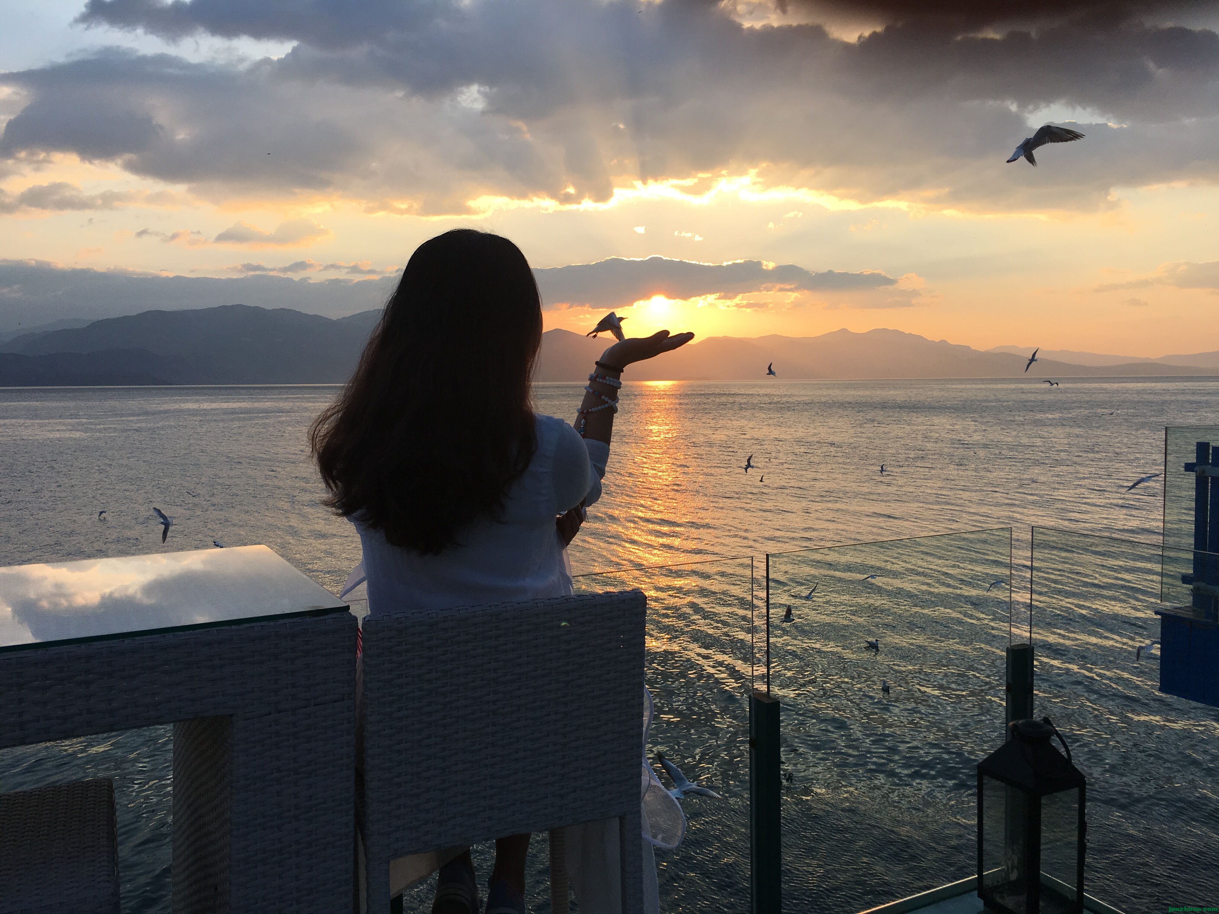 美女和海鸥嬉戏1.jpg