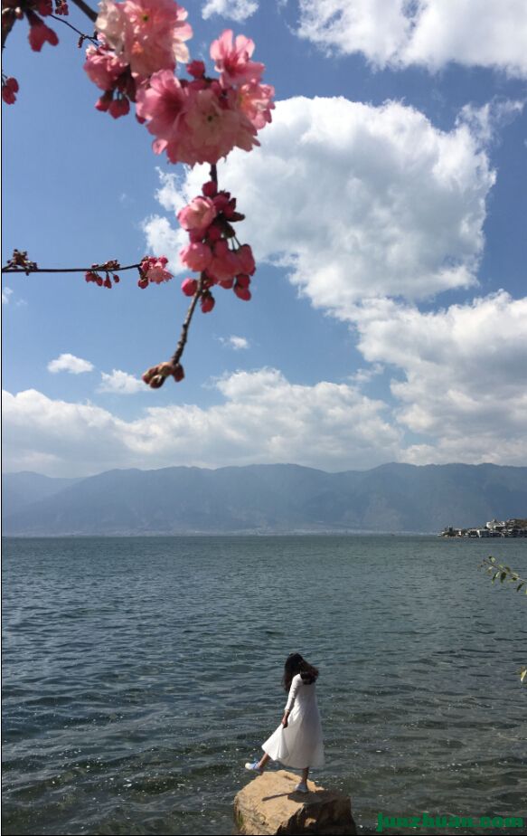 QQ截图20160427135116.jpg