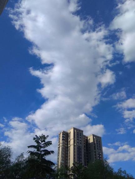 蓝蓝的天上白云飘3.jpg